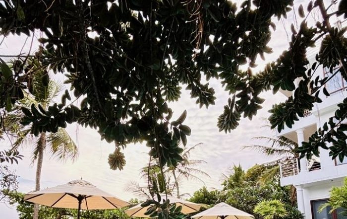 Yogaresort mit Pool und Sitzmöglichkeiten